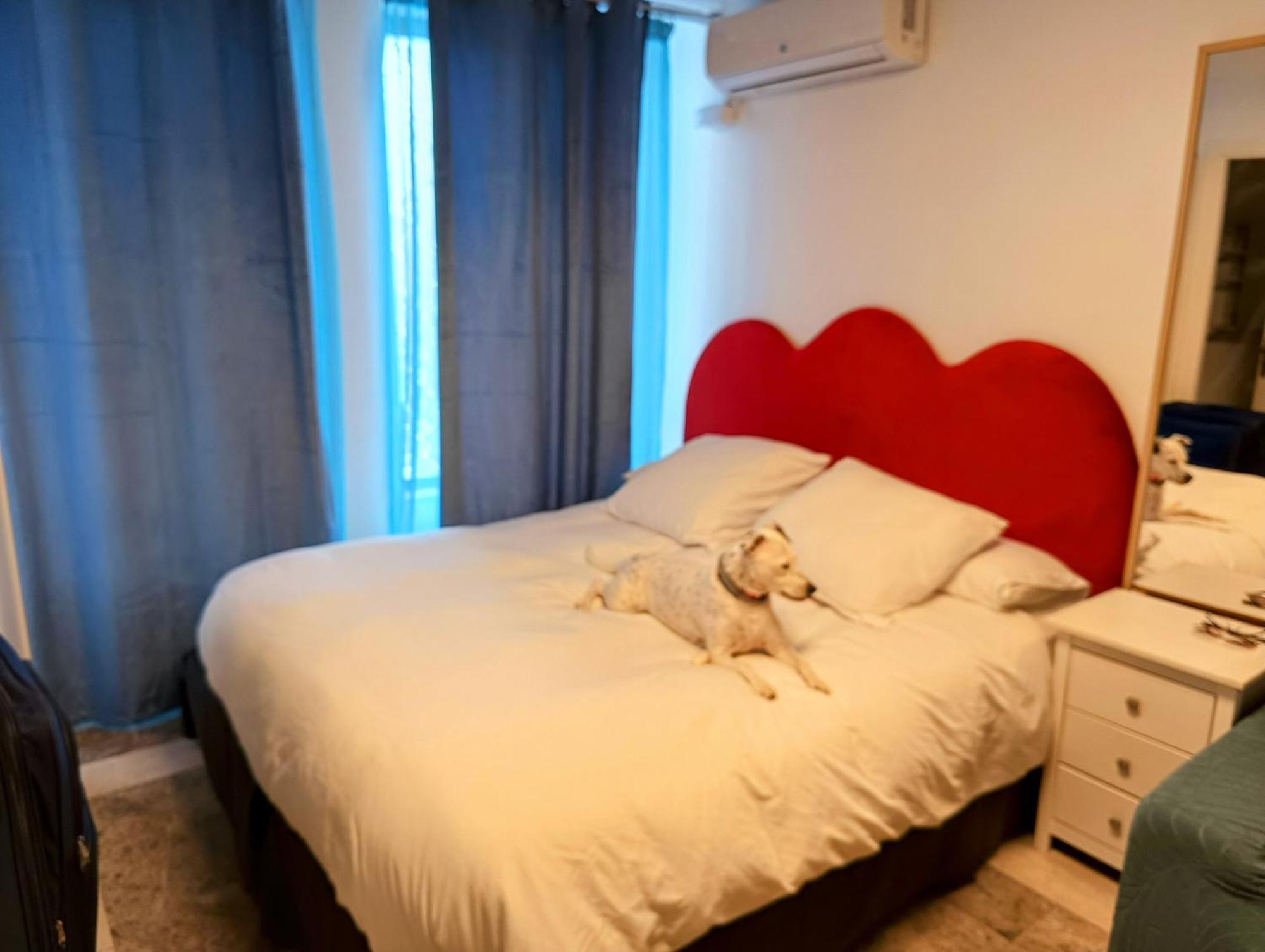 Hostal Estudios บาดาโลนา ภายนอก รูปภาพ
