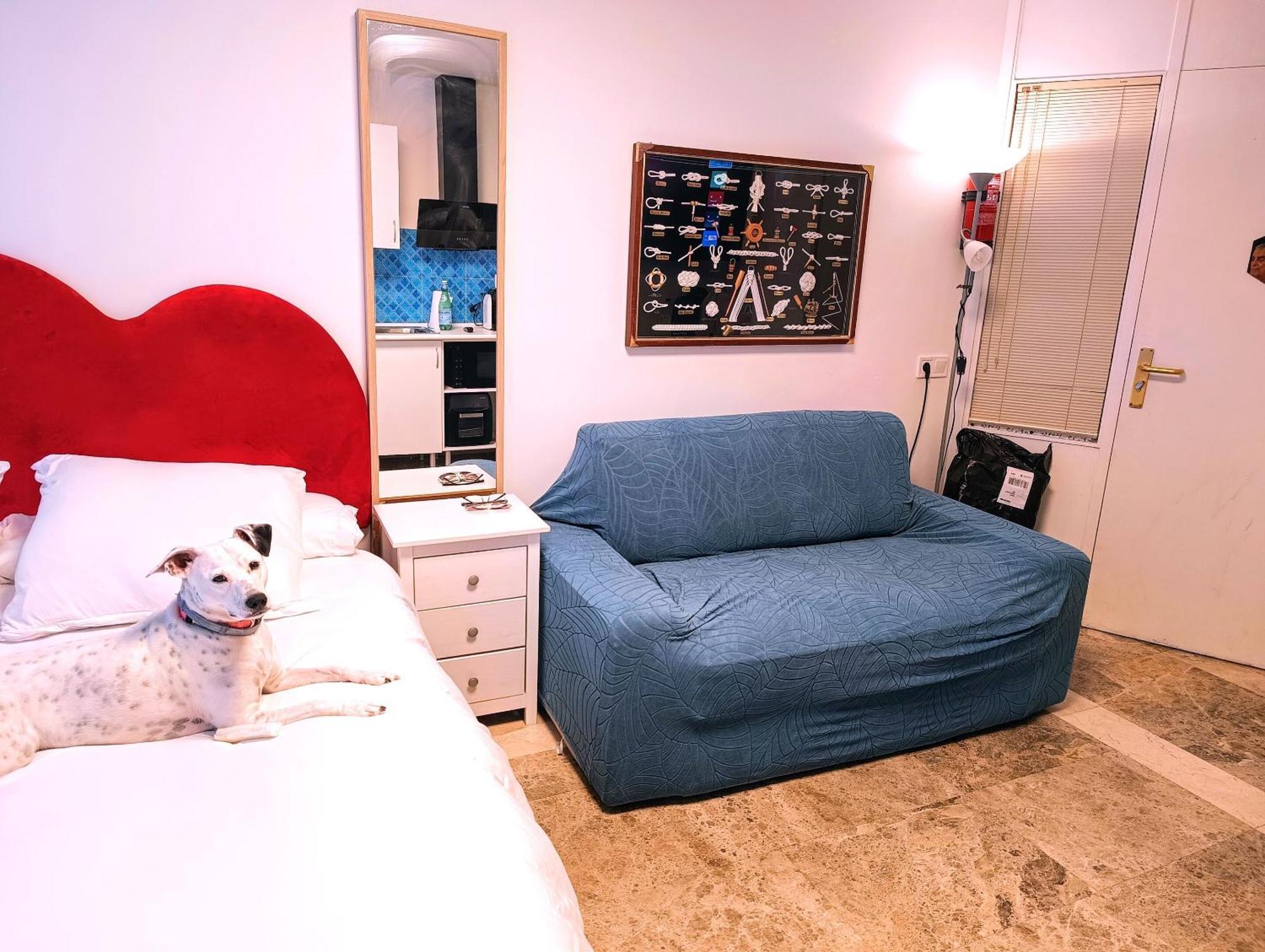 Hostal Estudios บาดาโลนา ภายนอก รูปภาพ